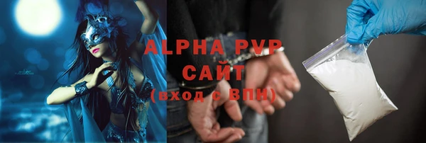 прущие грибы Волоколамск