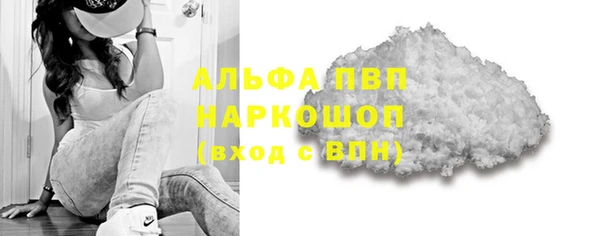 прущие грибы Волоколамск