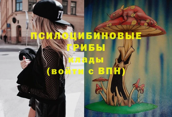 прущие грибы Волоколамск