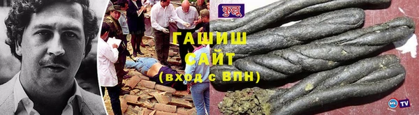 прущие грибы Волоколамск