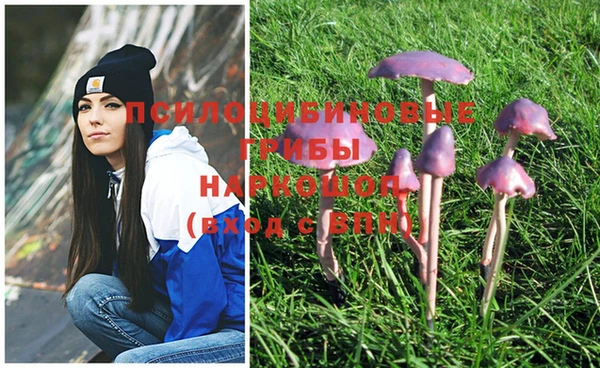 индика Семёнов