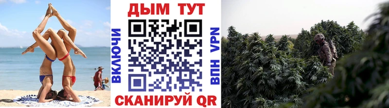 МАРИХУАНА гибрид Снежинск